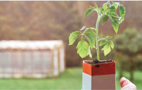 A container garden of hope