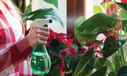 Before you bring those potted plants indoors …