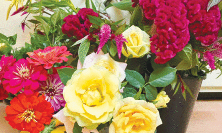 Regal roses can reign in your garden