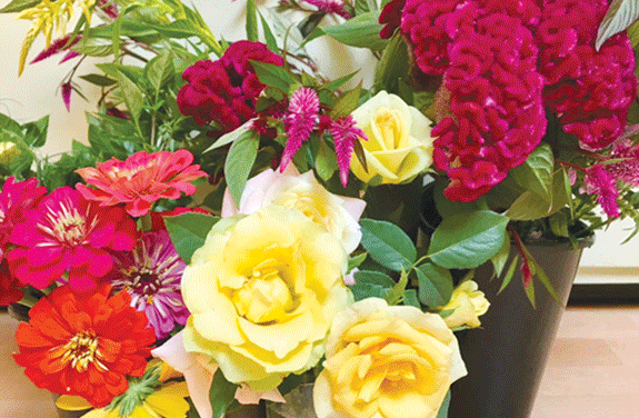 Regal roses can reign in your garden