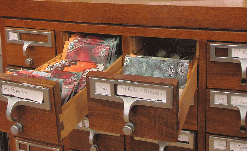 Checking out at the seed library