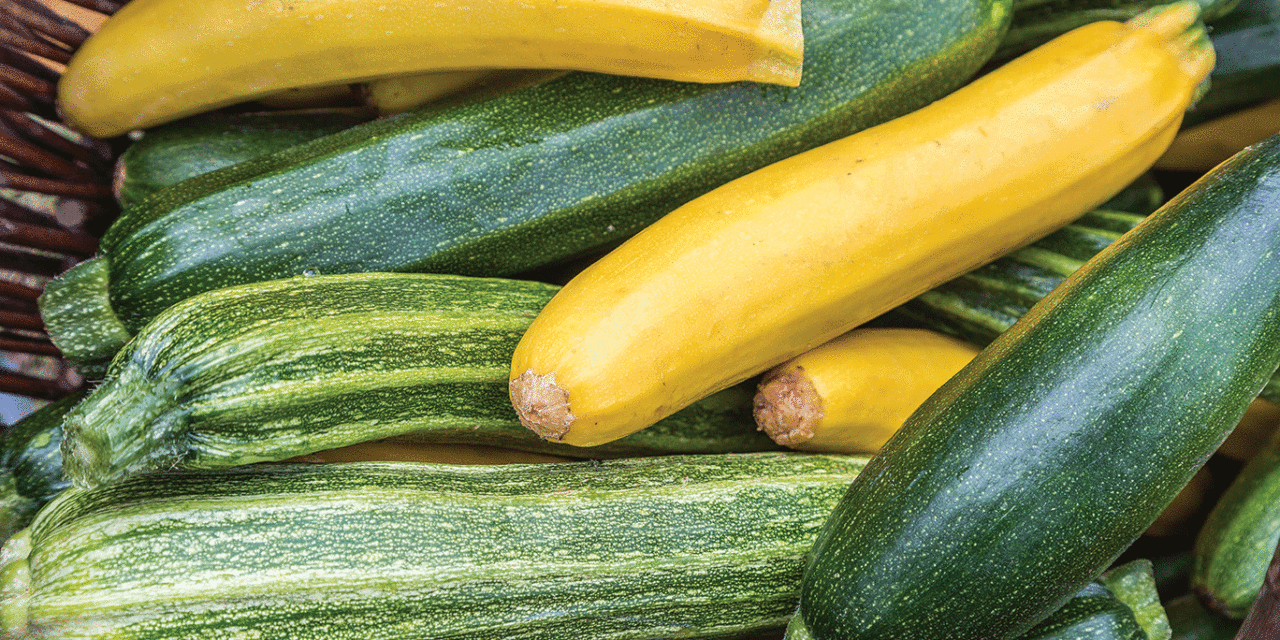 Zucchini: The produce that keeps on giving