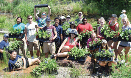 Greenhouse grows plants, ‘A-ha moments’