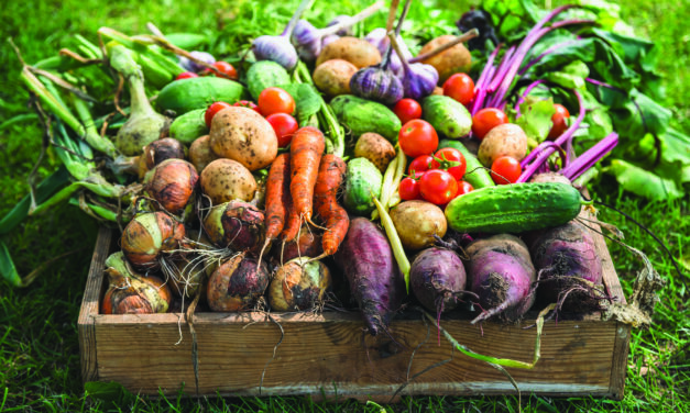 Learn to extend your garden’s fresh life