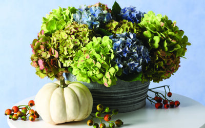 A new take: Fall planters re-imagined