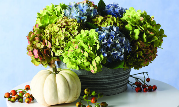 A new take: Fall planters re-imagined