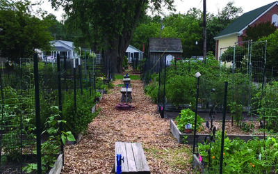 St. Michaels Community Garden marks 10th anniversary