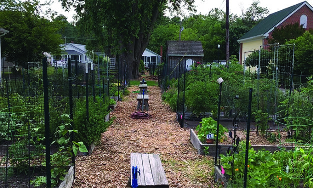 St. Michaels Community Garden marks 10th anniversary