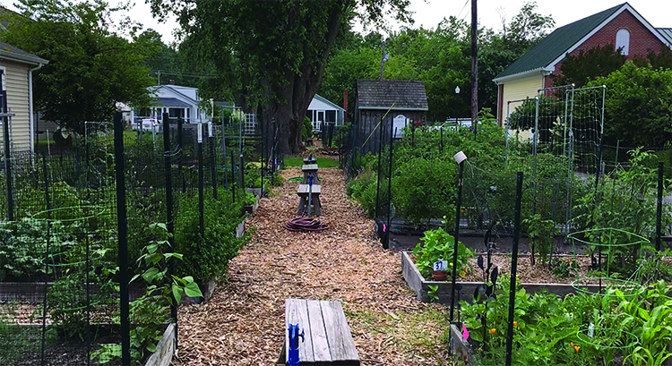 St. Michaels Community Garden marks 10th anniversary