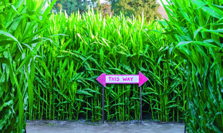 Corn maze-ing Grace