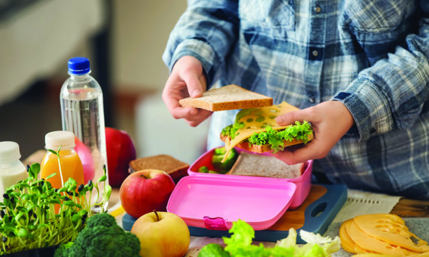 Ready to get back into the lunch packing routine?