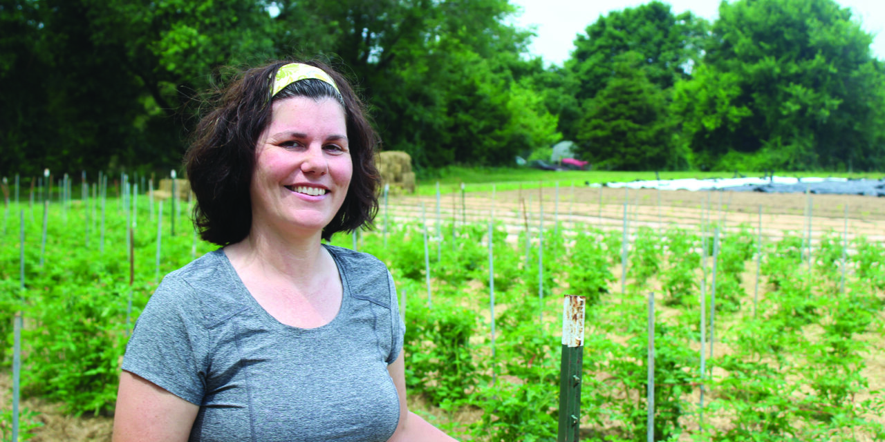 There’s more than one way to grow those juicy summer tomatoes