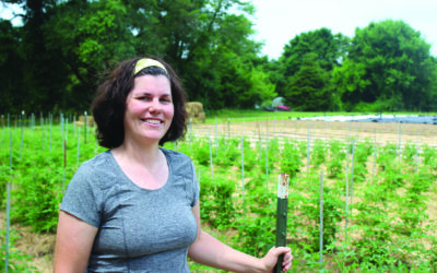 There’s more than one way to grow those juicy summer tomatoes