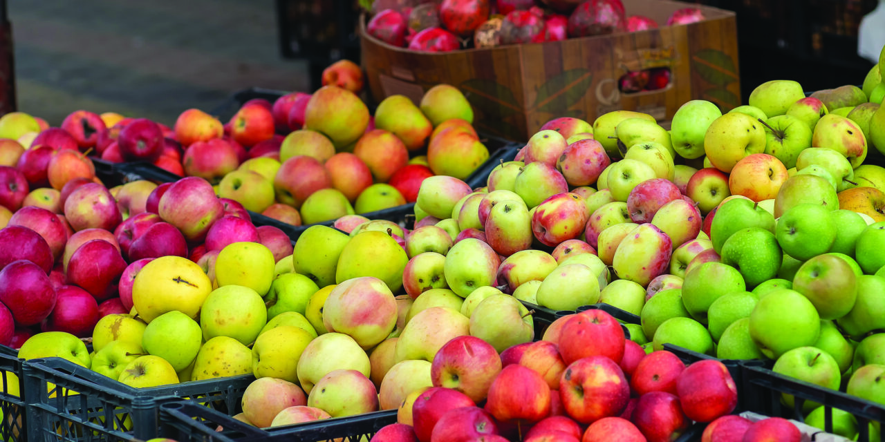 Which is the apple of your eye?