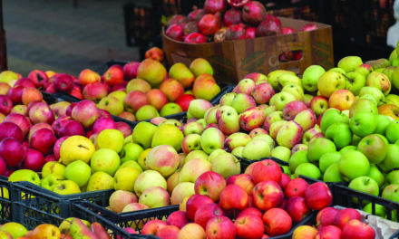 Which is the apple of your eye?