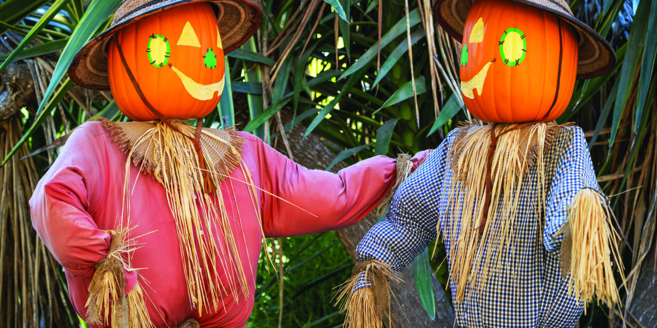 Enlist a scarecrow for your yard