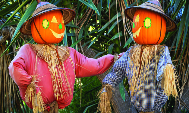 Enlist a scarecrow for your yard
