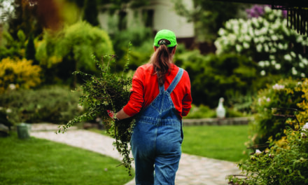 Gardening trends for 2026