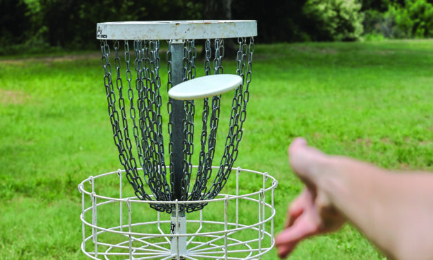 Disc-cover golf another way