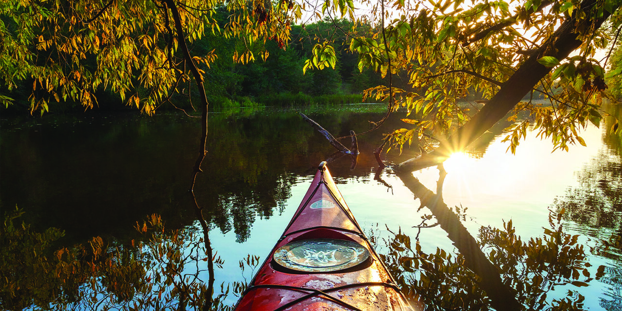 Paddle through the hidden Shore