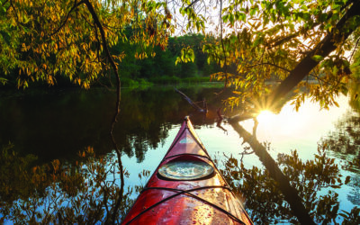 Paddle through the hidden Shore
