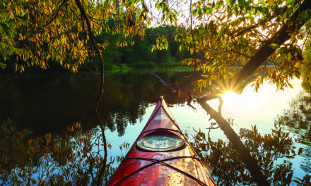 Paddle through the hidden Shore