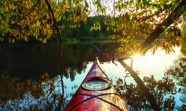 Paddle through the hidden Shore